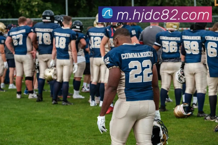 皇家赌场hjdc平台生态图